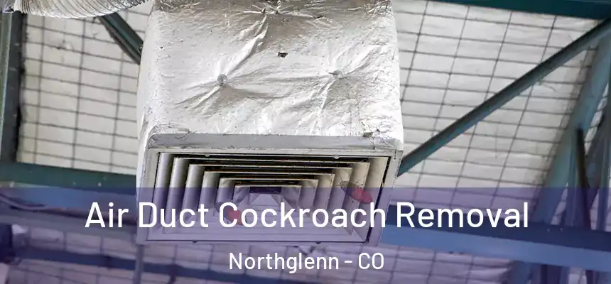  Air Duct Cockroach Removal Northglenn - CO