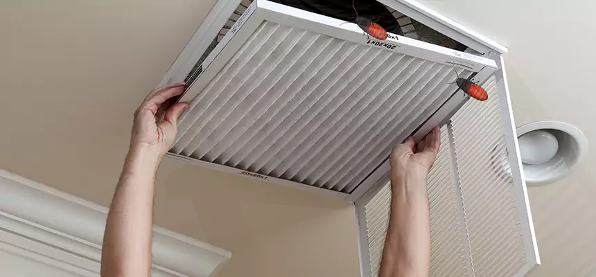 Our Insect Removal from Air Ducts Services in Northglenn, CO