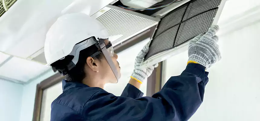 Our Mold & Mildew Removal from Air Ducts Services in Northglenn, CO