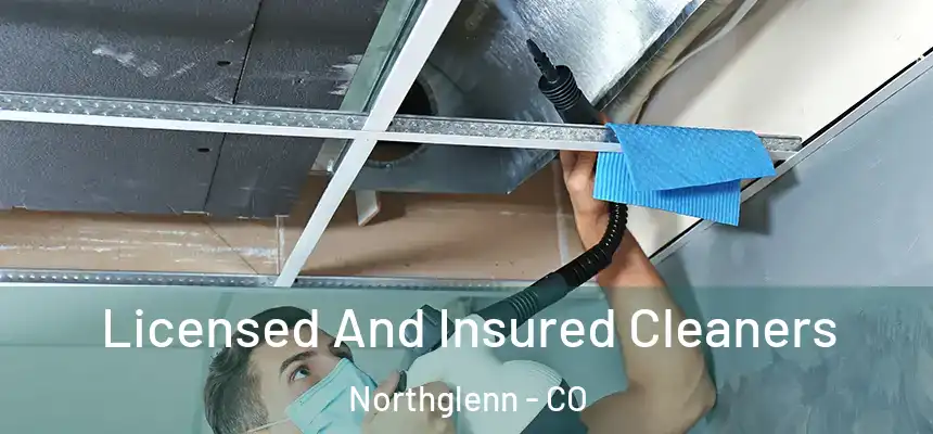  Licensed And Insured Cleaners Northglenn - CO