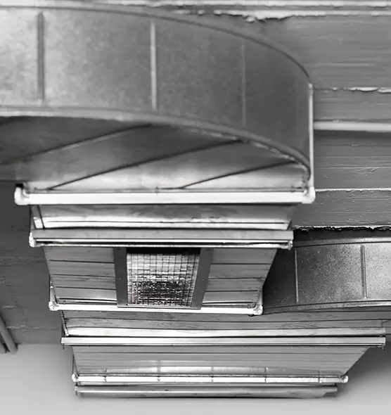 Professional Air Duct Pest Removal in Northglenn, CO