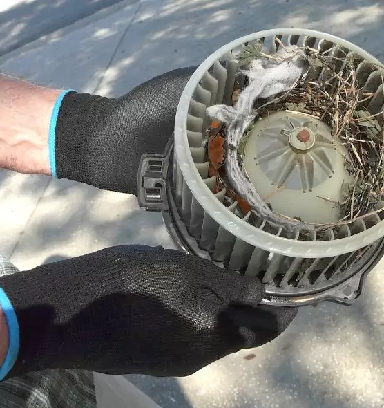 About Air Duct Rat Removal in Northglenn, CO