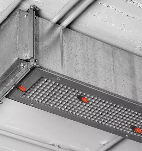 Affordable Insect Removal from Air Ducts in Northglenn, CO