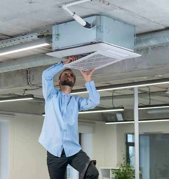 Advanced Rodent Droppings In Vents in Northglenn, CO