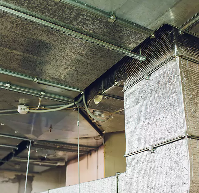 Why Homeowners & Businesses Trust Us in Northglenn, CO?